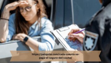 httpspetquite.comcada-cuanto-se-paga-el-seguro-del-coche